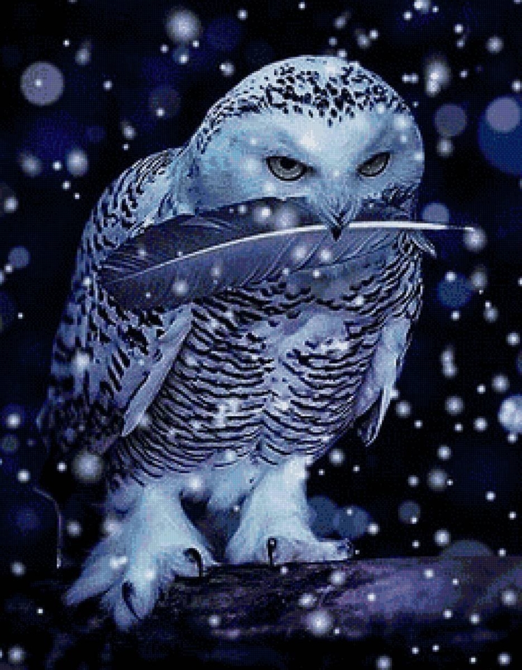 Buenas noches с совами