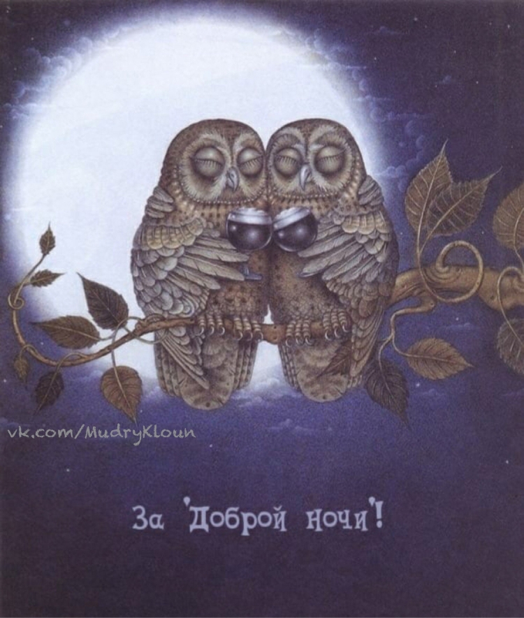 Доброй ночи Совушки