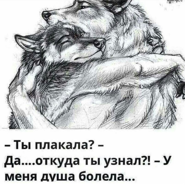 Волк любит одну волчицу. Ты плачешь. Волк обнимает свою волчицу. Мой волк.