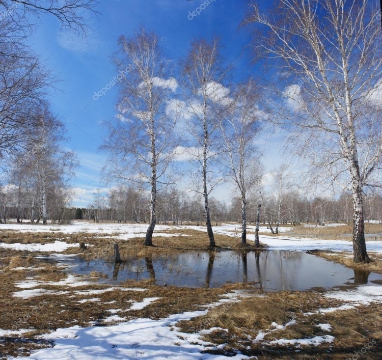 Ранняя Весна подснежники