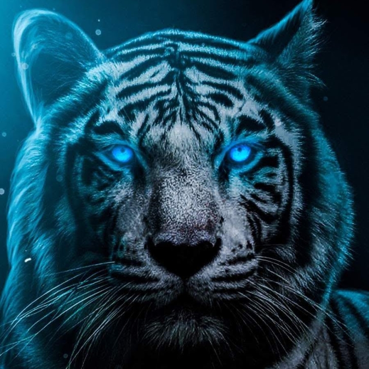 Голубые тигры