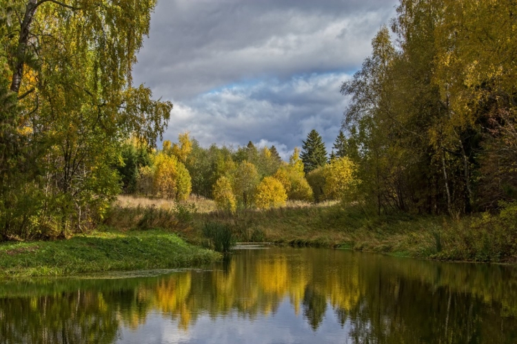 Природа вологодской области фото