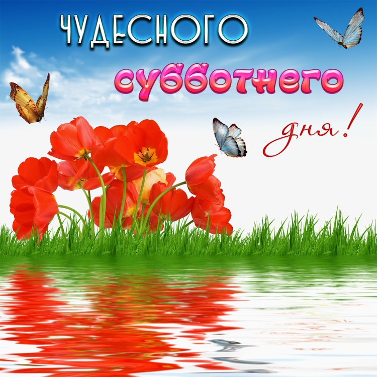 Хорошего субботнего дня