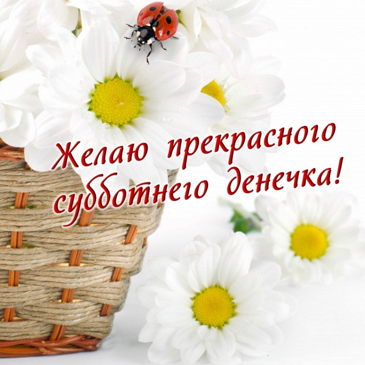 Доброе субботнее утро