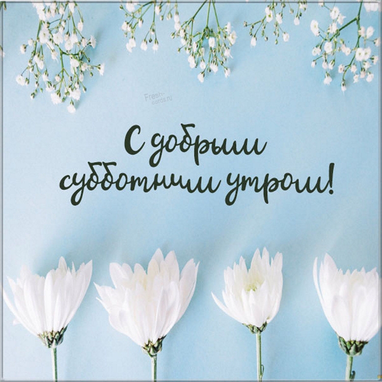 Доброе субботнее утро