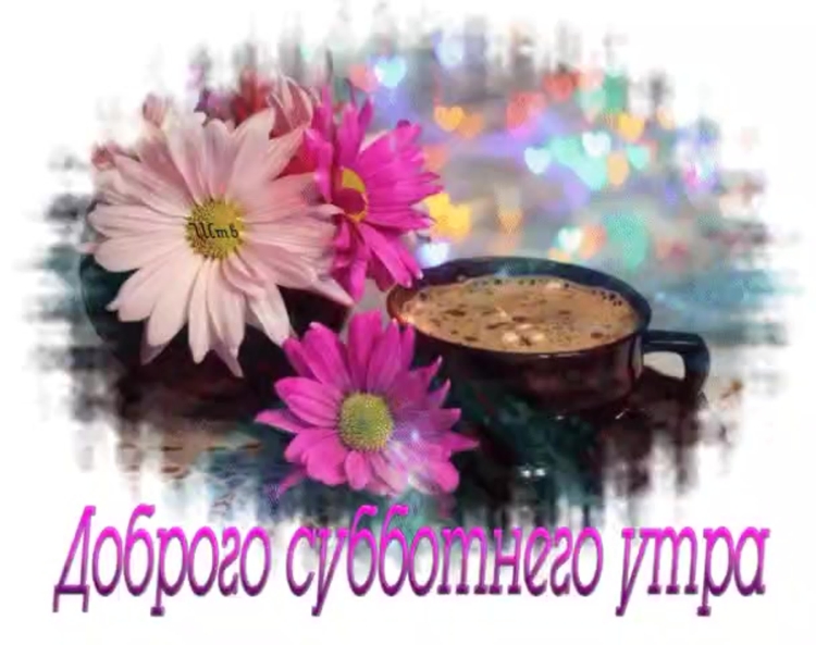 Цветы красивые нежные