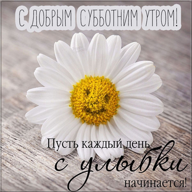 Доброго субботнего дня