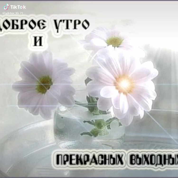 Прекрасной субботы