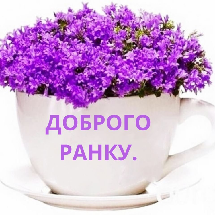 Доброе Майское утро субботнее утро