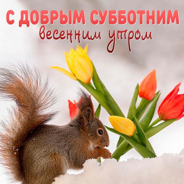 Открытки чудесного дня