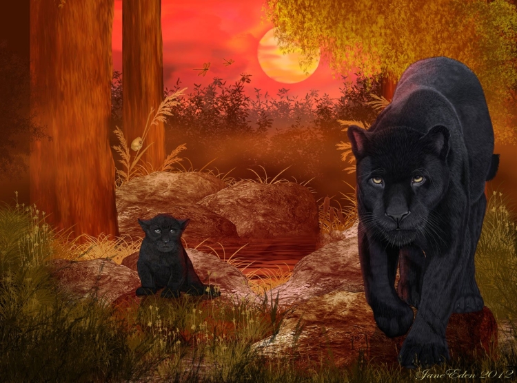 Кошка чёрная фрактал
