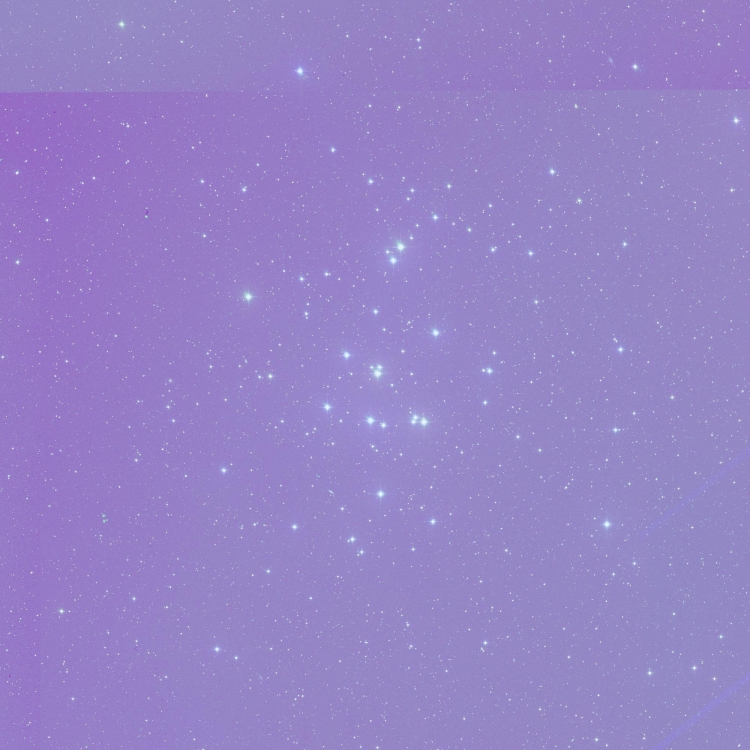 Фиолетовый фон однотонный нежный