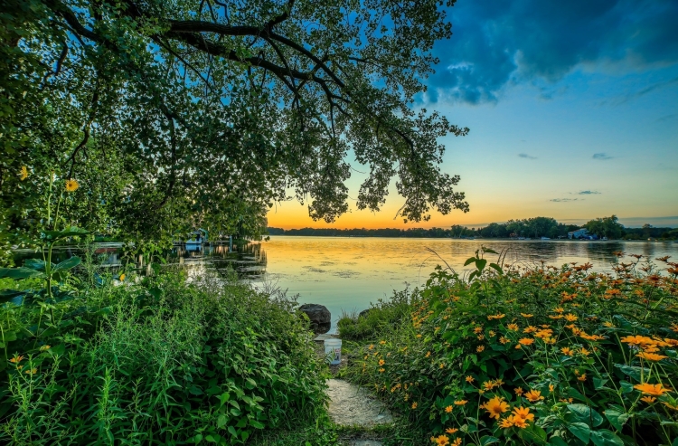 Природа лес грибы