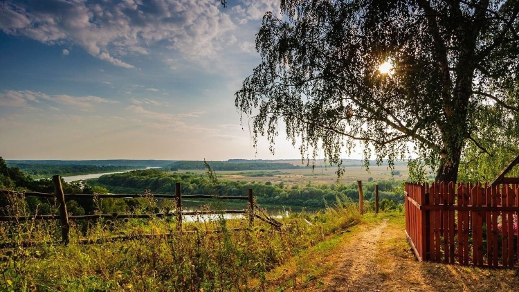 Август деревенская природа