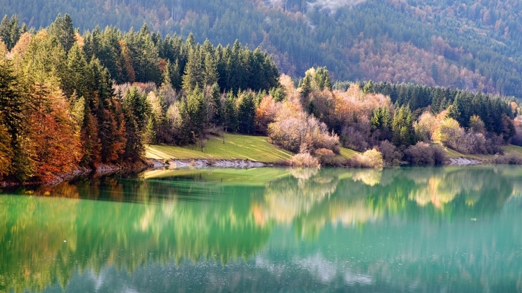 Мельница и Подсолнухи