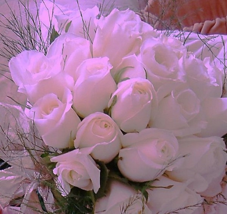 Шикарный букет белых роз для любимой