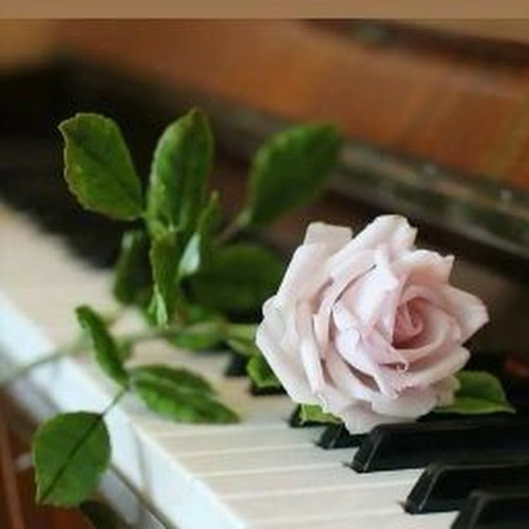 Фортепиано в цветах