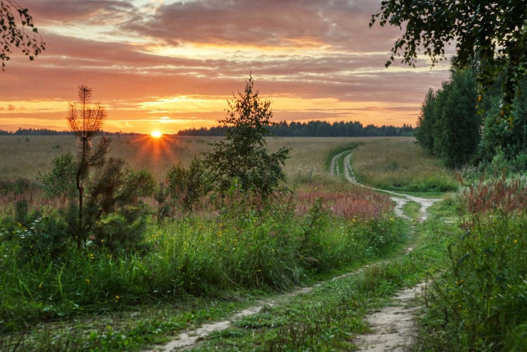 Пейзаж летний вечер