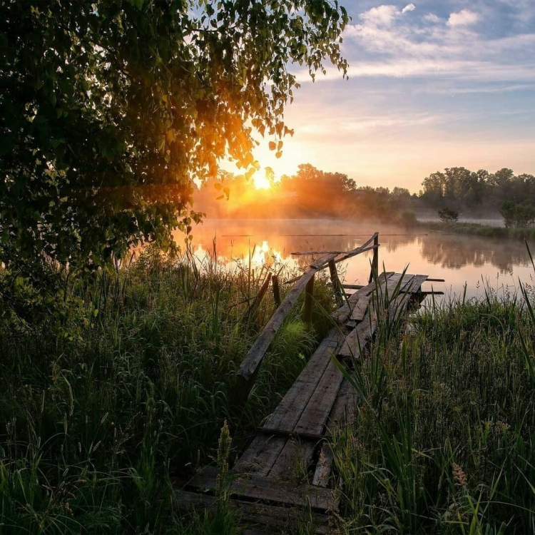 Деревня в лесу