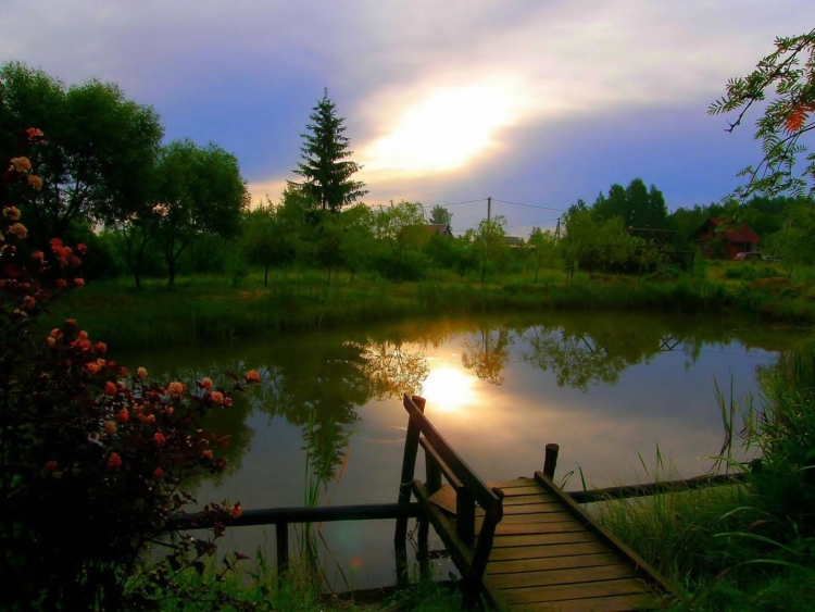 Природа вечер