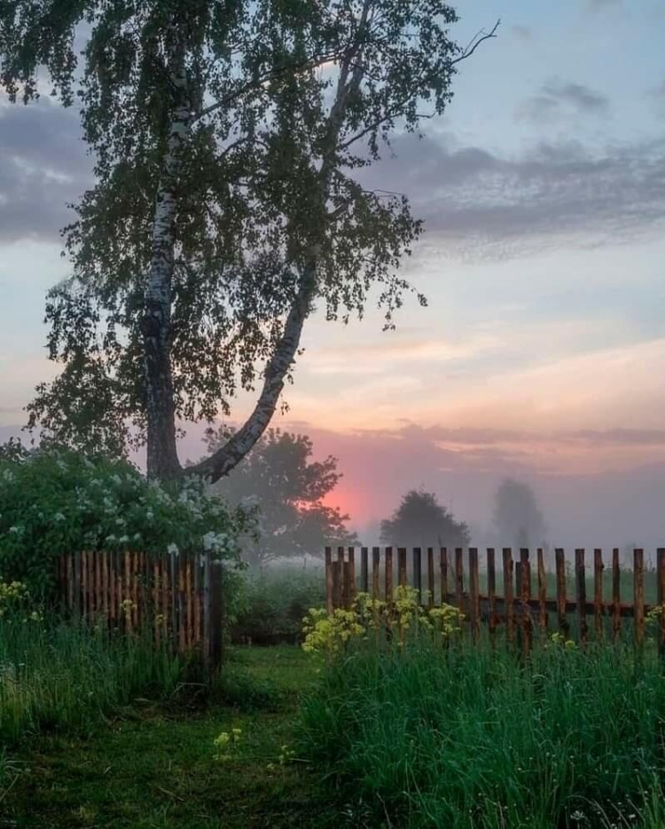 Вечер на реке