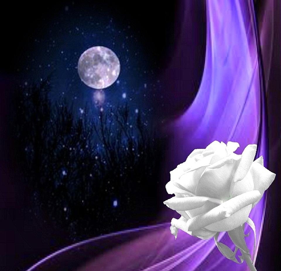 картинки спокойной ночи сладких снов розы красивые