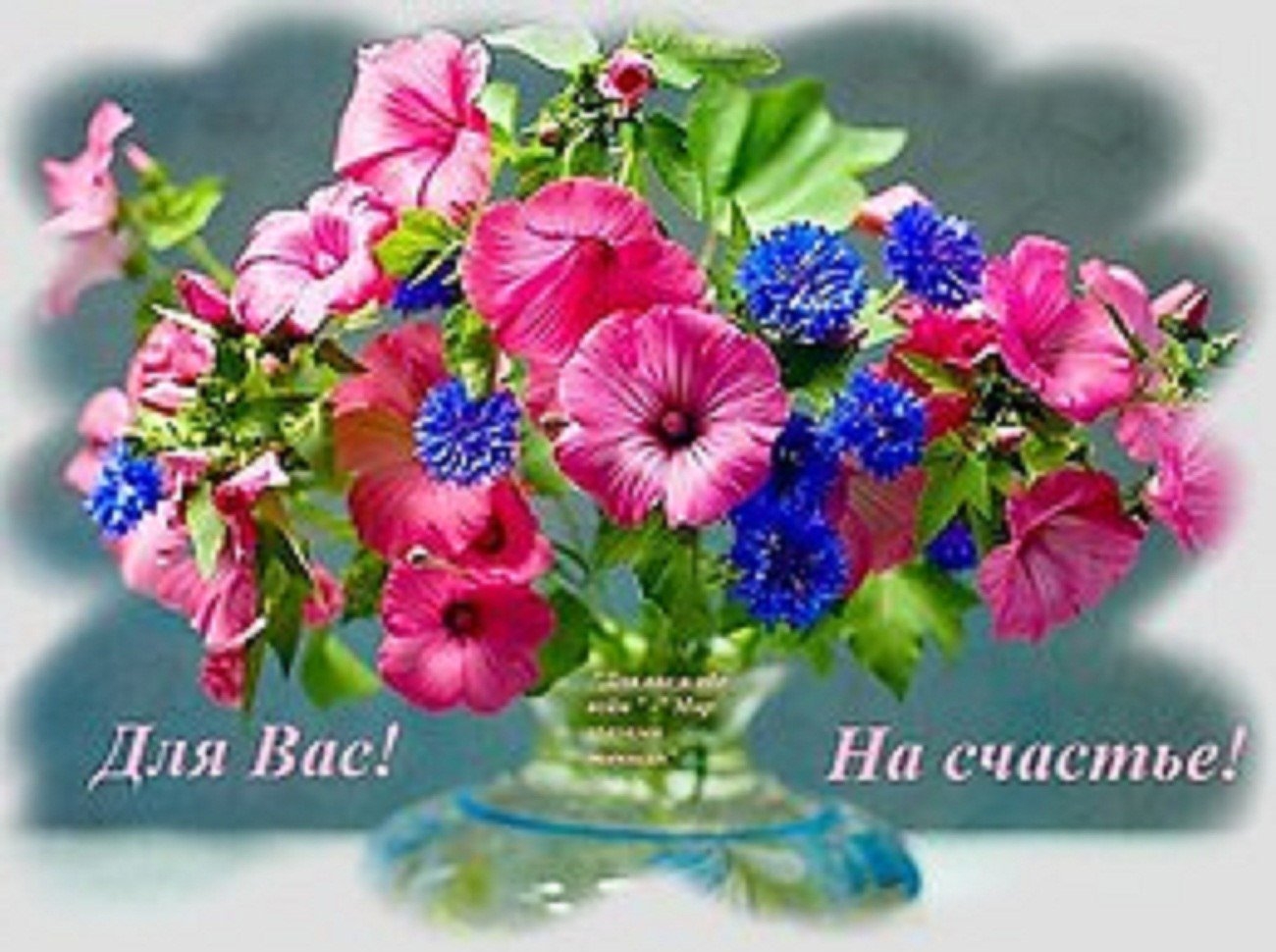 Пожелание здоровья с цветами. Цветы с пожеланиями. Цветы с добрыми пожеланиями. Цветы с пожеланиями хорошего дня. Букет цветов для настроения.