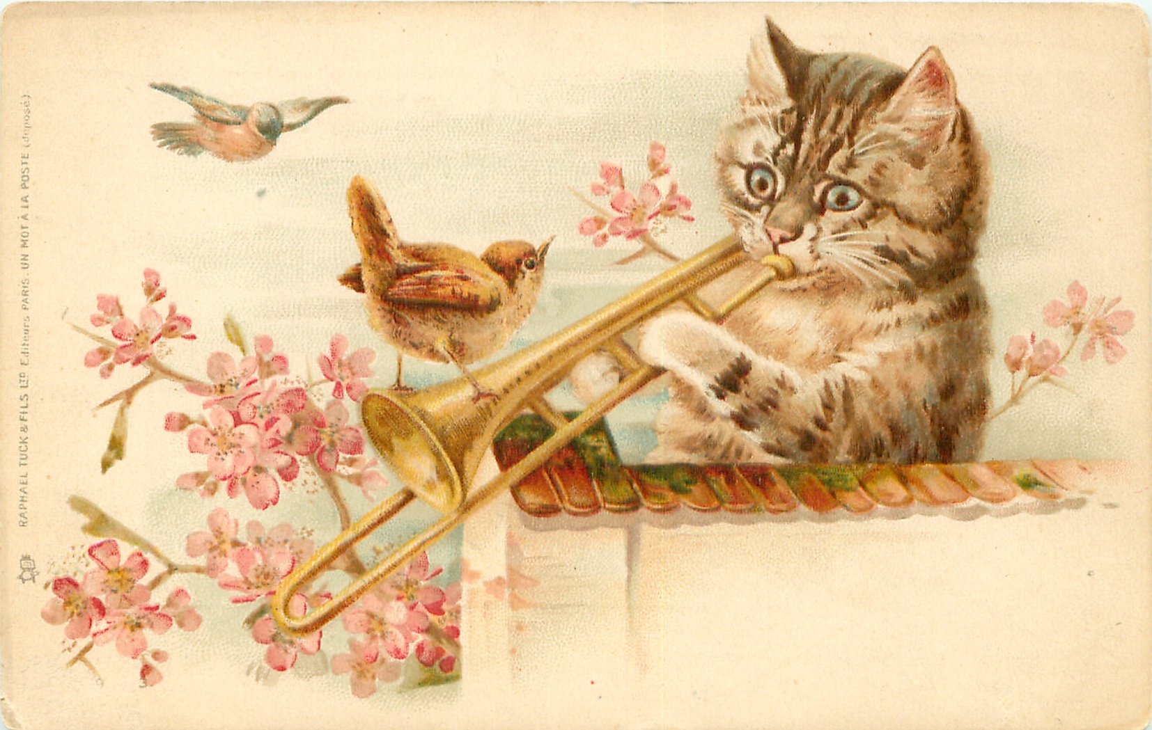 День рождения кота песня. Открытка «котики». Винтажные открытки с котом. Винтажная открытка. Старые открытки с кошками.
