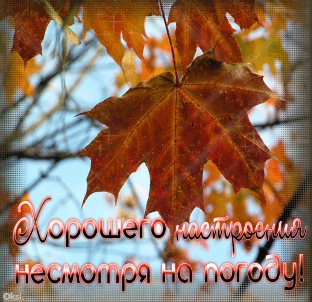 Хорошего здоровья в любую погоду. Доброго осеннего дня. Открытки хорошего дня осенние. Хорошего осеннего настроения. Осеннего настроения и хорошего дня.
