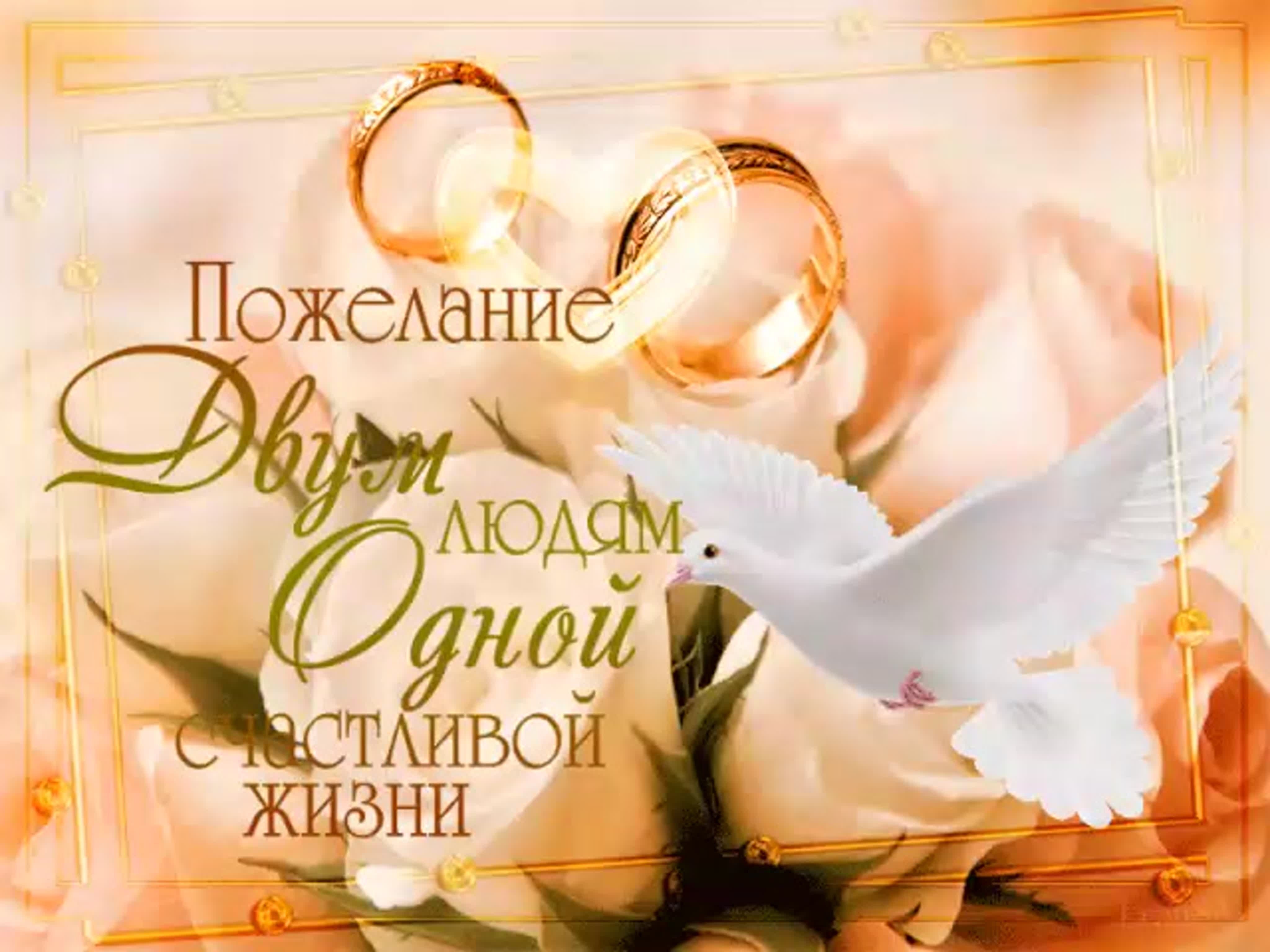 Что взять с собой в ЗАГС, на венчание и на банкет: памятка для невест | Wedding Magazine