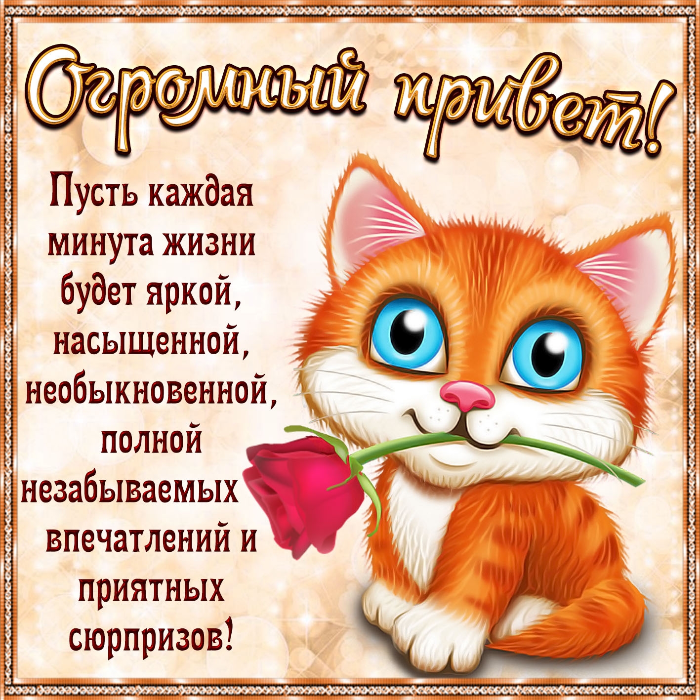 Прикольные поздравления с днем рождения однокласснице – самые лучшие пожелания