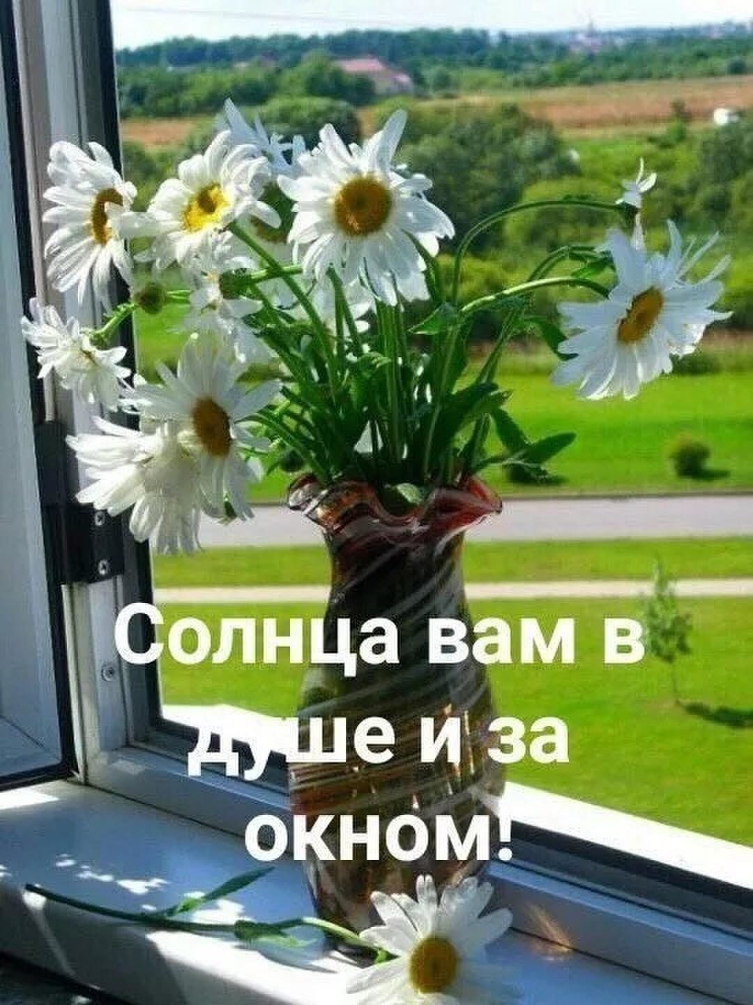 Доброе утро солнце в окно