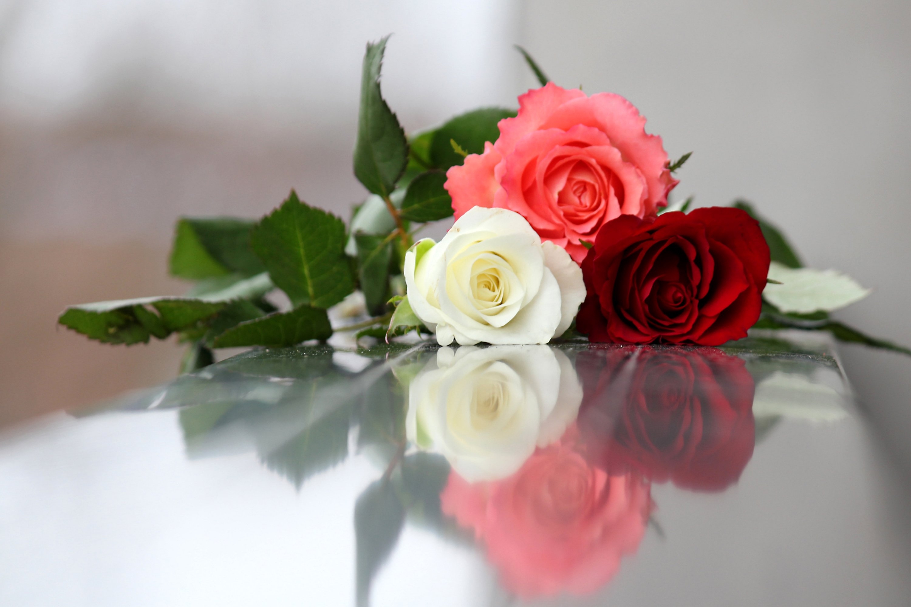 Открытки поздравляю розы. Цветы поздравления. Поздравления с днём рождения Татьяне. С днем рождения розы.