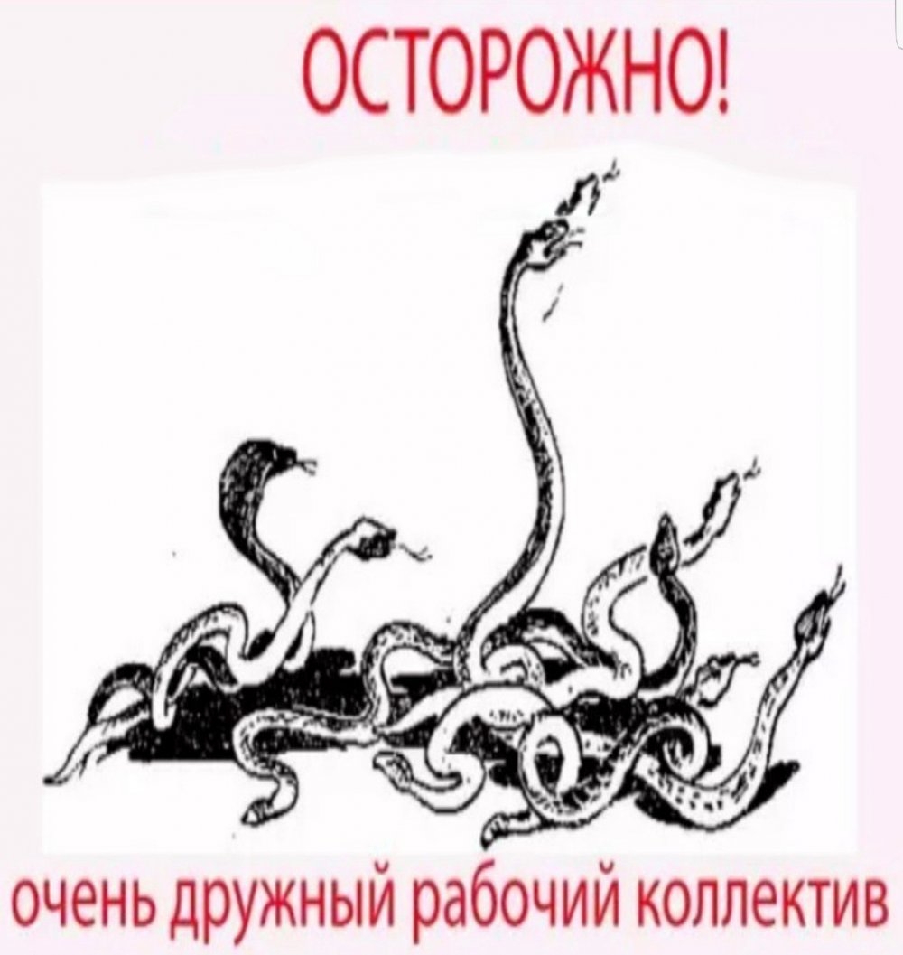 Открытки и приглашения г. Тверь