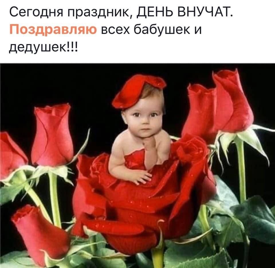 день внучат