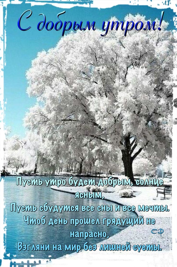 С добрым зимним утром