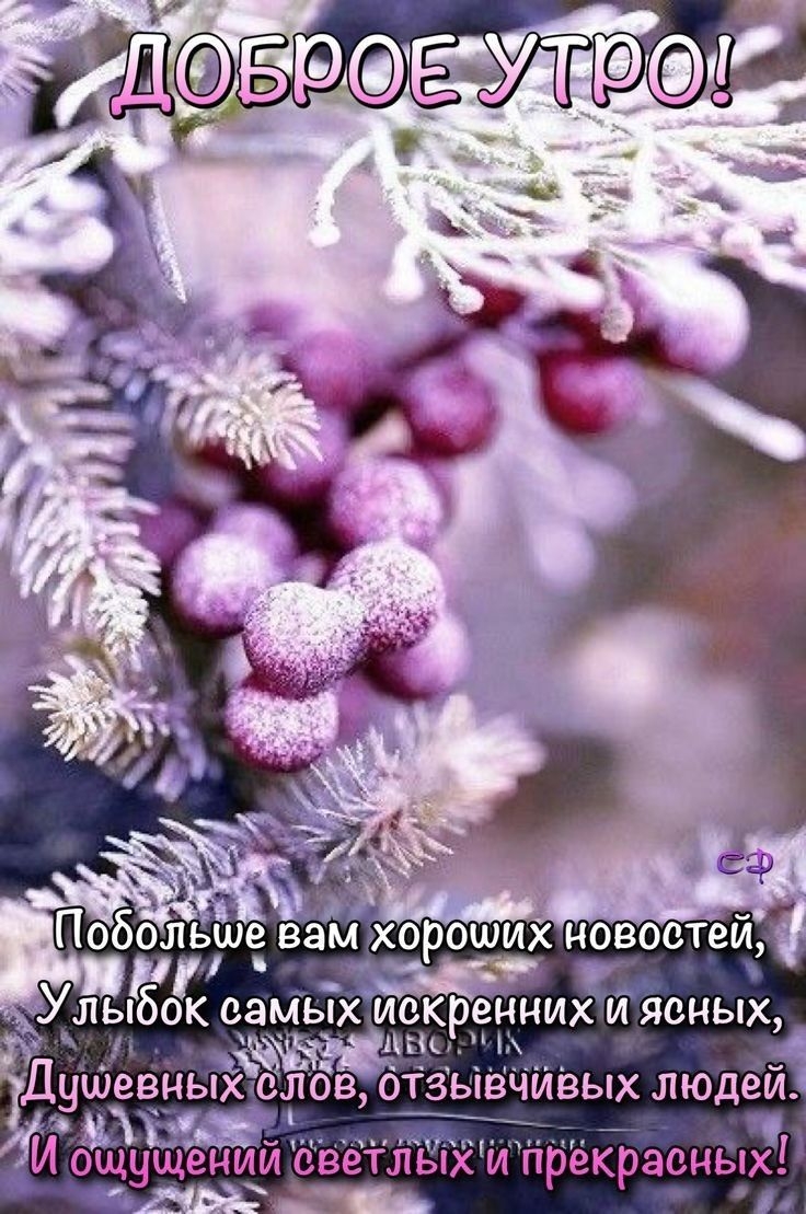 Добрлго зимнешо дегечка
