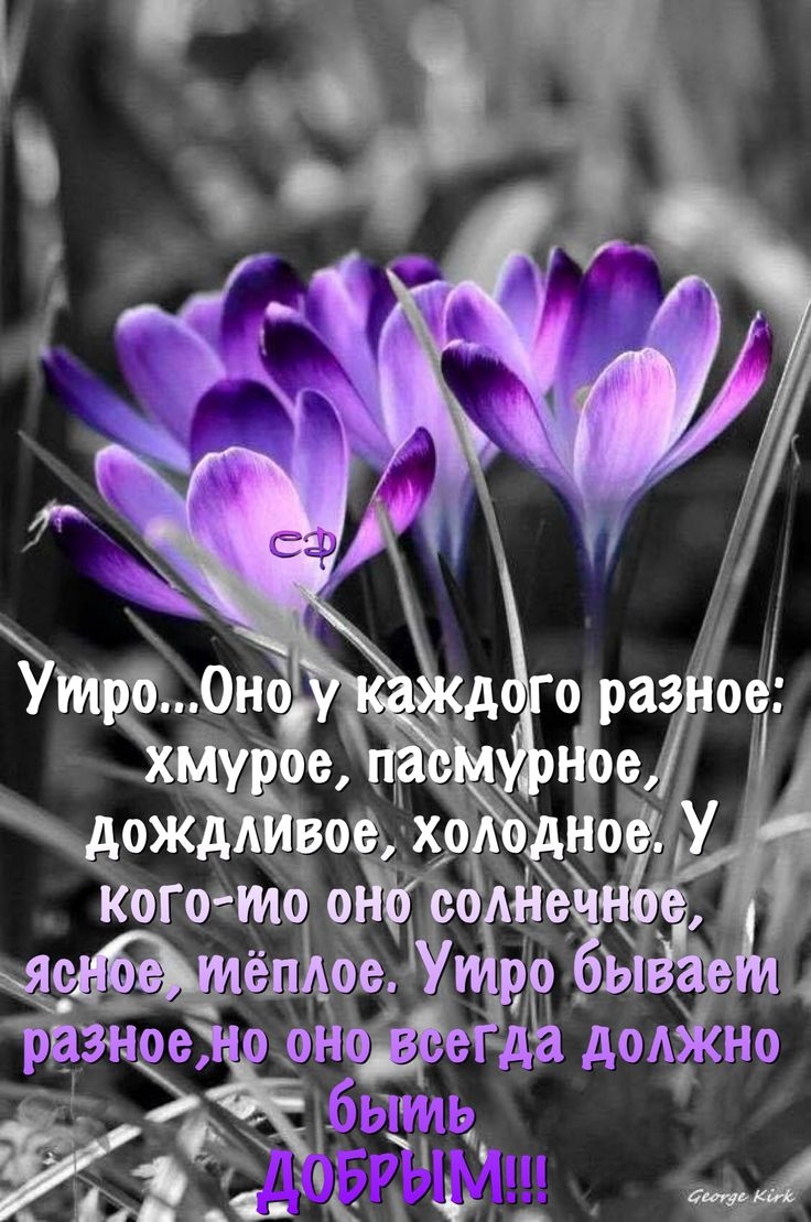 Добрые пожелания и высказывания