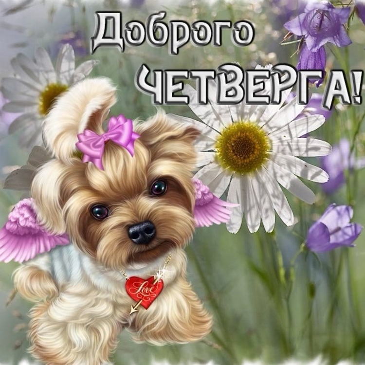 Открытки спокойной ночи красивые