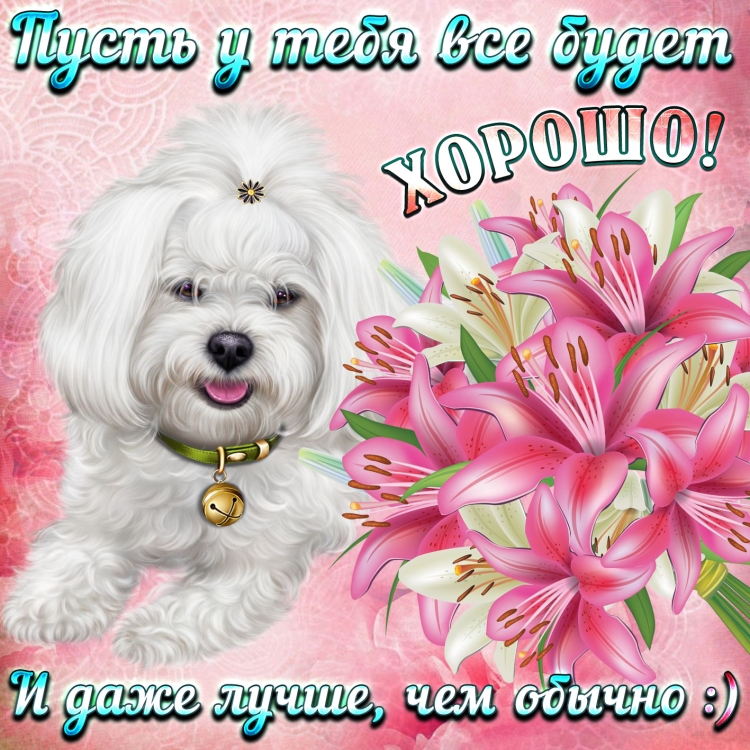 Добрый вечер с розами