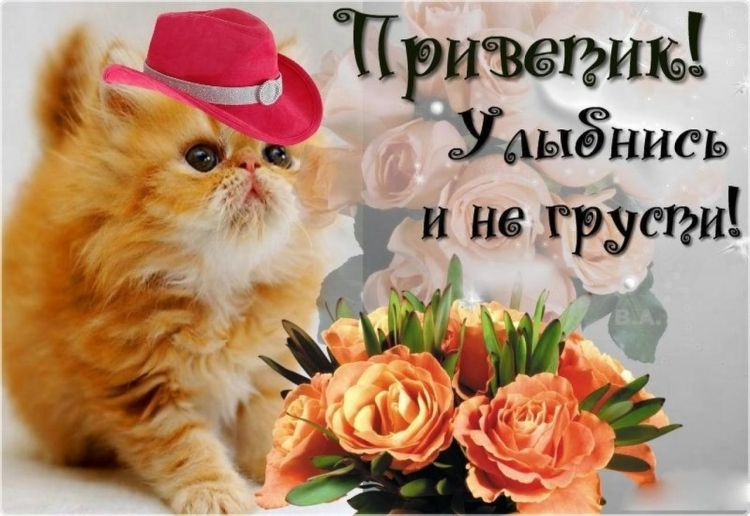 Пожелания хорошего дня женщине
