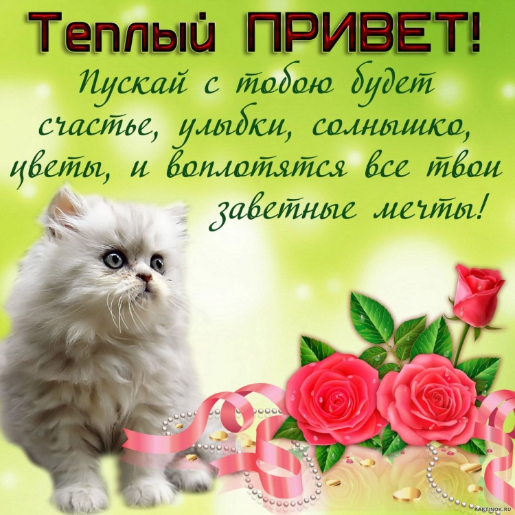 Открытки с пожеланиями