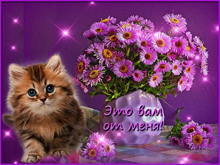 Самые добрые пожелания от меня