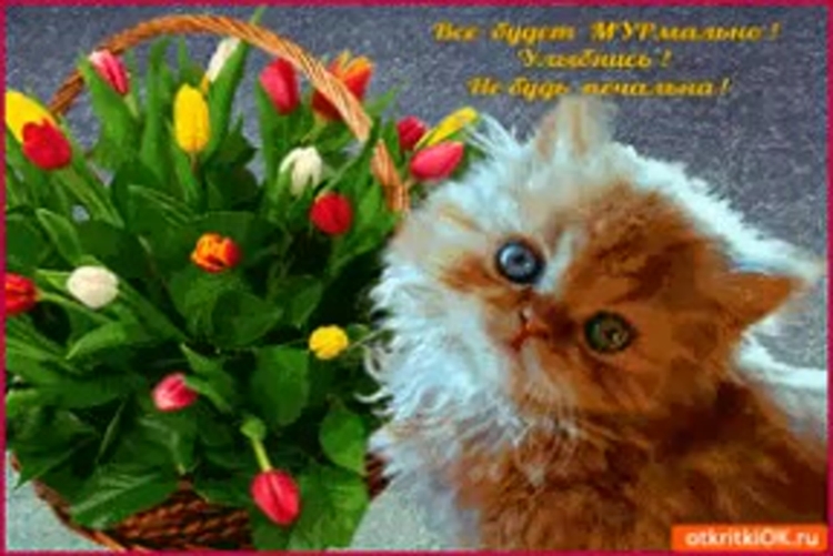 Не грусти улыбнись