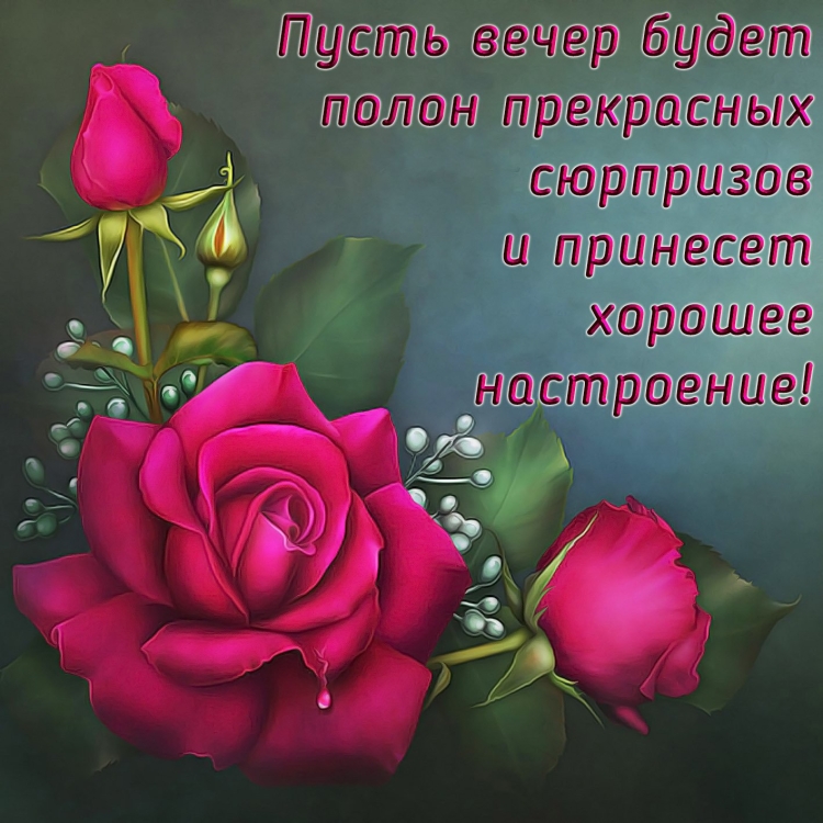 Хорошего вторника отличного настроения