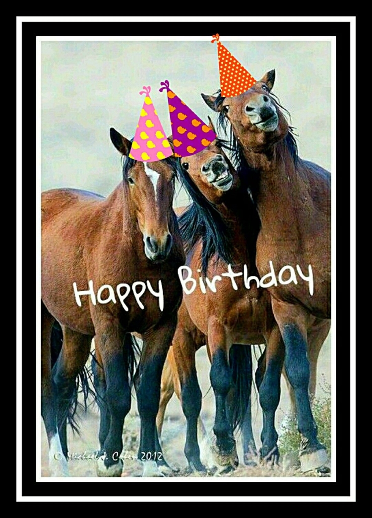 Открытка с днем рождения лошади