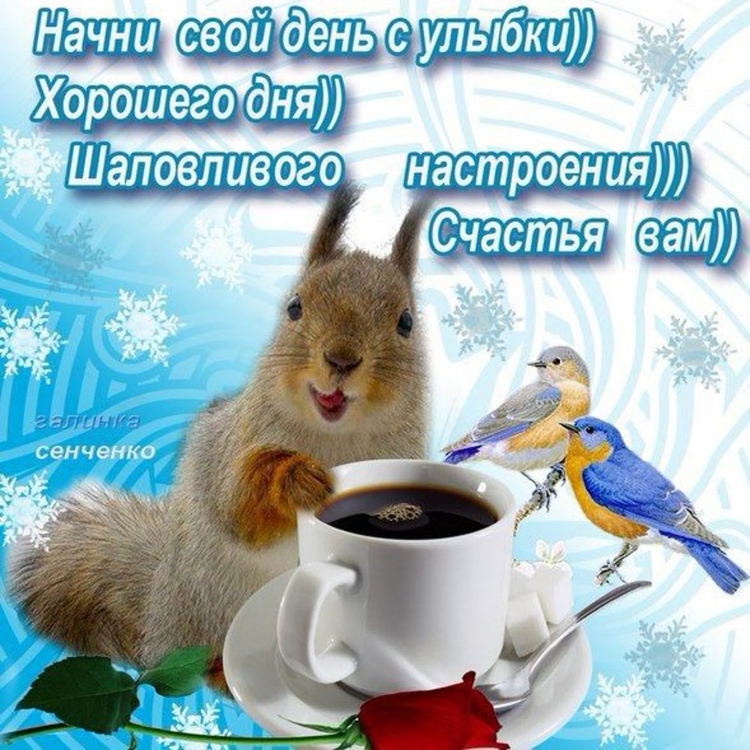 Открытки с добрым утром зимние