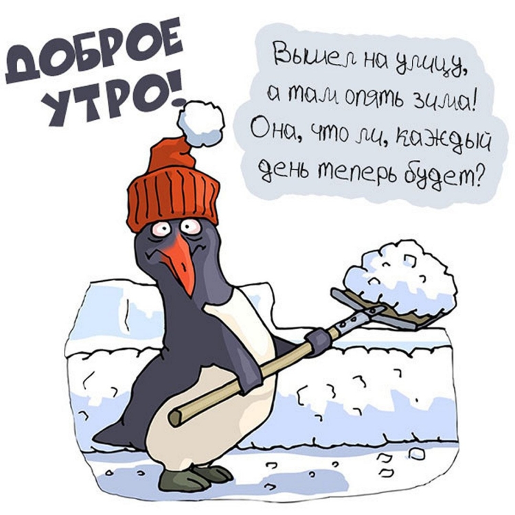 Доброе морозное утро прикольные