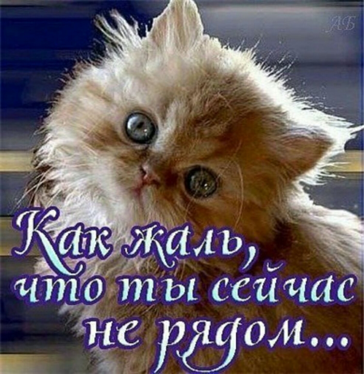 Скучаю по тебе