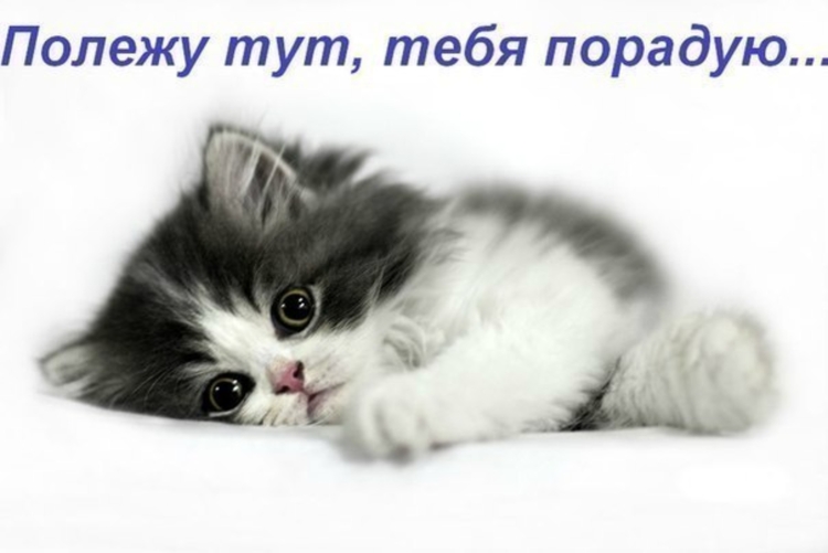 Я тоже скучаю по тебе